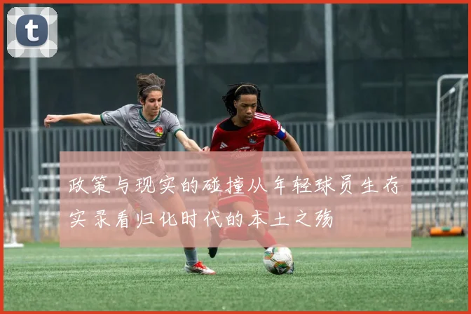 政策与现实的碰撞从年轻球员生存实录看归化时代的本土之殇