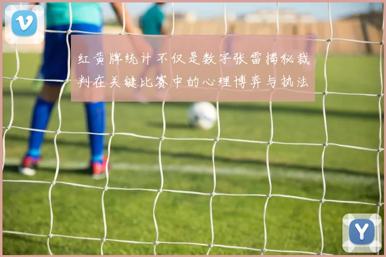 红黄牌统计不仅是数字张雷揭秘裁判在关键比赛中的心理博弈与执法艺术